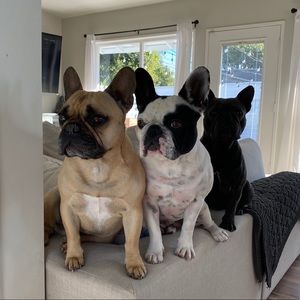 Meet your Posher, Erica